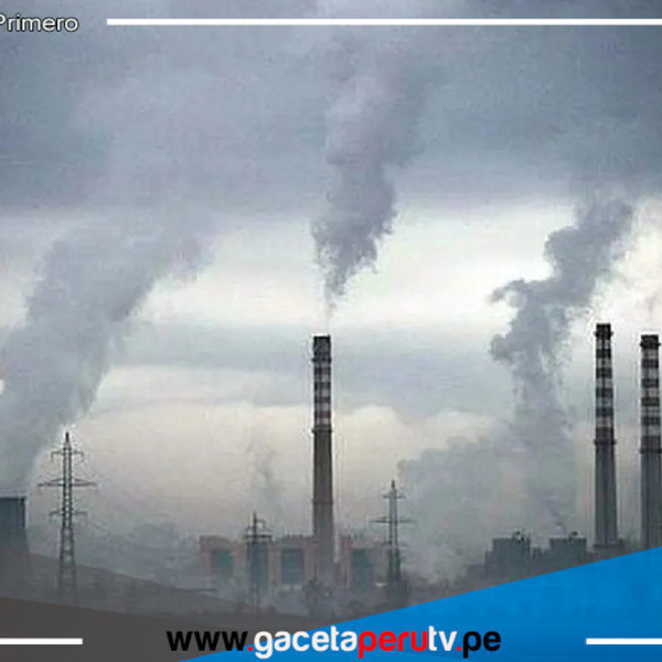 Día del Medio Ambiente