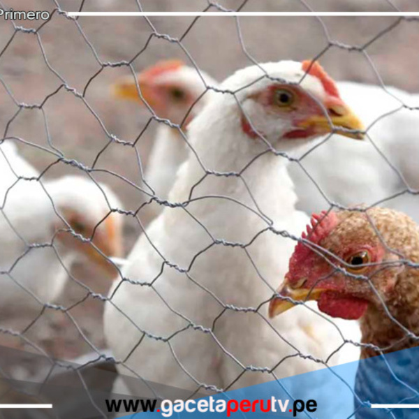  Primera muerte por gripe aviar AH5N2 confirmada en México