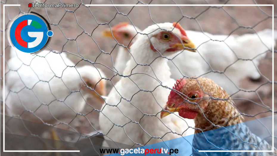  Primera muerte por gripe aviar AH5N2 confirmada en México