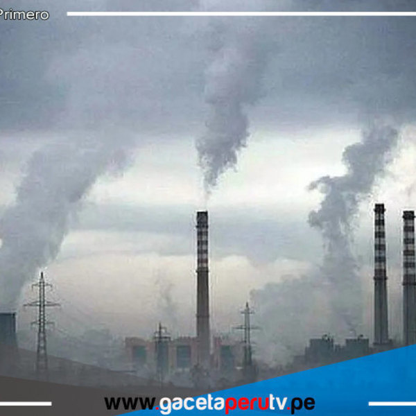 Día del Medio Ambiente