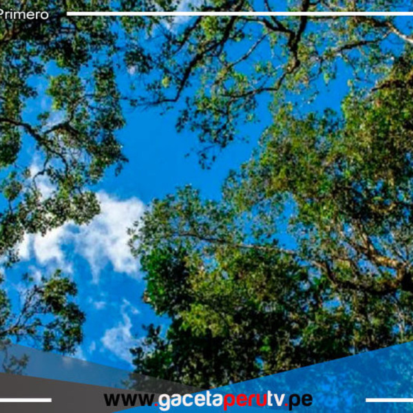 Otorgan 1.7 millones de euros a Perú para acciones frente al cambio climático 