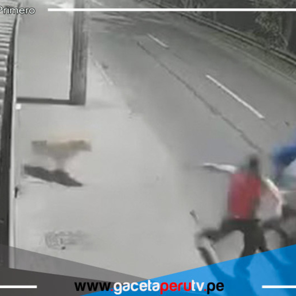 Mascota salva a sus dueños de asalto
