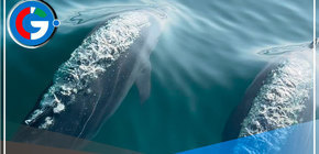 Piura espera la visita de más de 9,000 turistas durante el feriado largo 