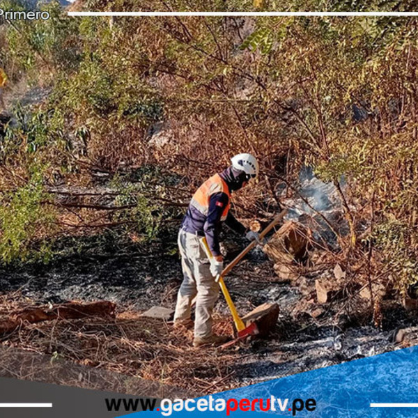 La Libertad: incendio forestal arrasa más de 20 hectáreas de cultivo