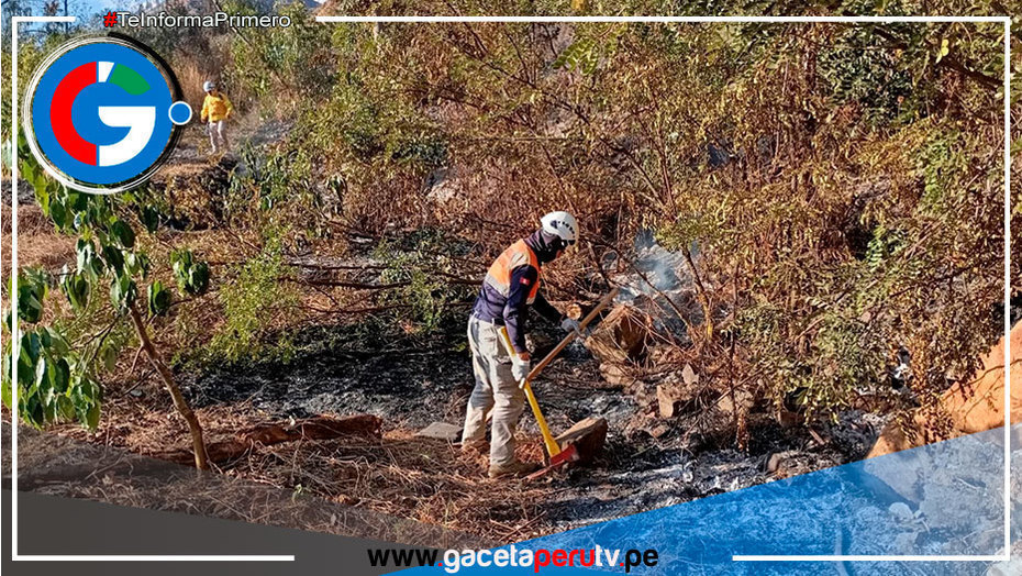 La Libertad: incendio forestal arrasa más de 20 hectáreas de cultivo