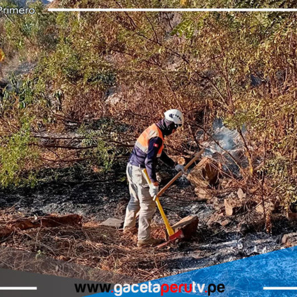 La Libertad: incendio forestal arrasa más de 20 hectáreas de cultivo