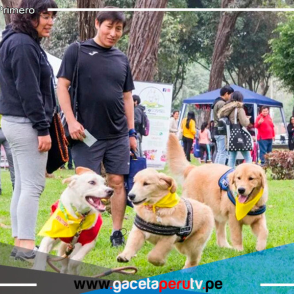 Caminata Huellas 4K: recaudando fondos para animales sin hogar