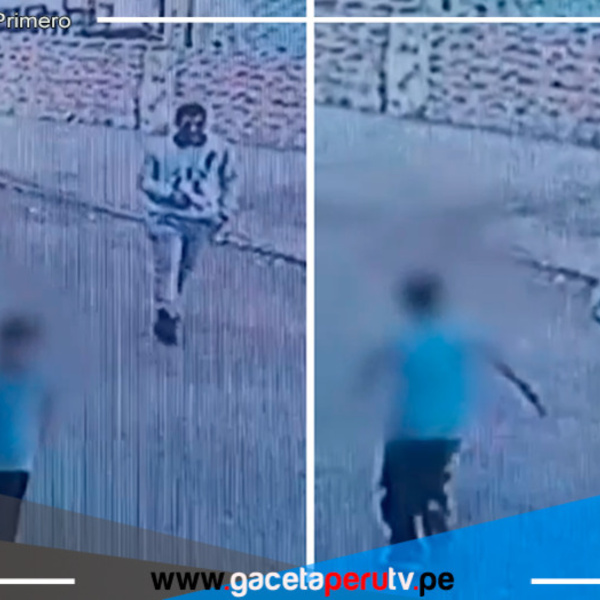Escolar enfrentó a ladrón que le robó su celular en SMP