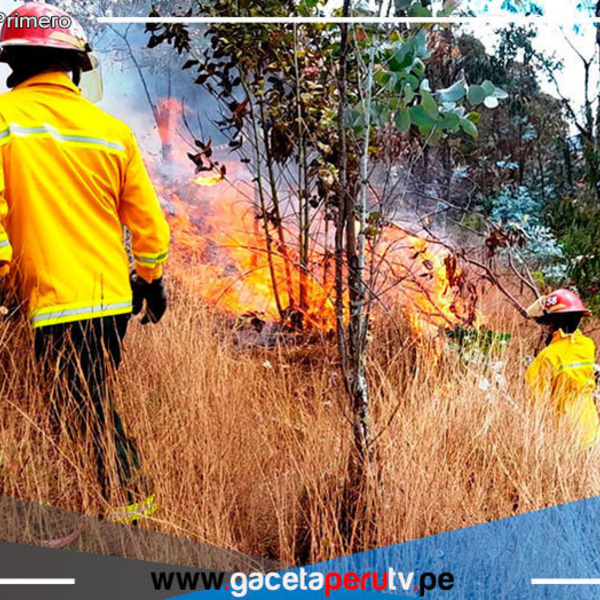 Cajamarca: región registra 31 incendios forestales en lo que va del año