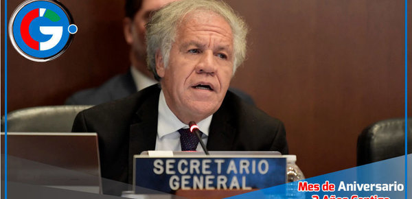 OEA Exige Verificación Urgente de Actas Electorales en Venezuela