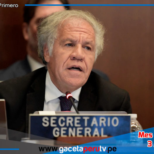 OEA Exige Verificación Urgente de Actas Electorales en Venezuela