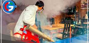 Perú registra desaceleración de casos de dengue y continúa acciones de intervención 