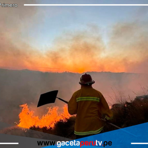 Esperan aportes a proyecto de lineamientos ante emergencias por incendios forestales 
