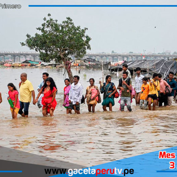 Lluvias en India causan muertes y cocodrilos invaden ciudades