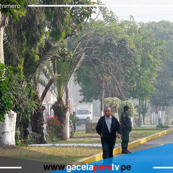 San Martín de Porres: recuperan espacios públicos