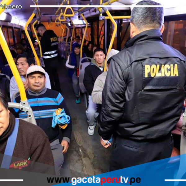 79 detenidos y 9 bandas desarticuladas en Lima Metropolitana 