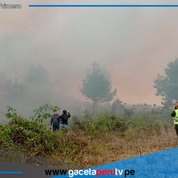 Más de 5000 hectáreas de bosques y pastizales afectados por los incendios en Amazonas 