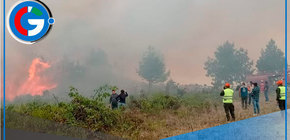 Más de 5000 hectáreas de bosques y pastizales afectados por los incendios en Amazonas 