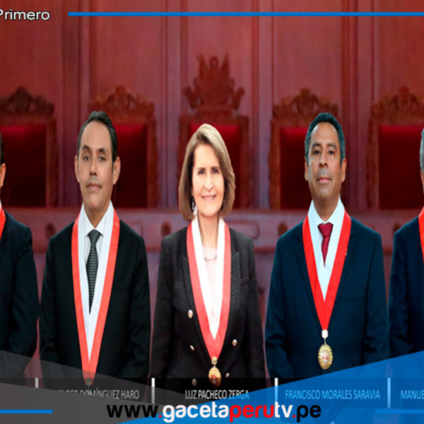 Luz Pacheco Zerga es la única mujer vicepresidenta del Tribunal Constitucional