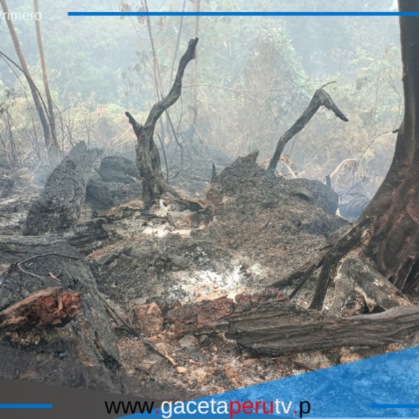 San José del Alto en alerta: siete incendios forestales llevan más de 20 días sin control
