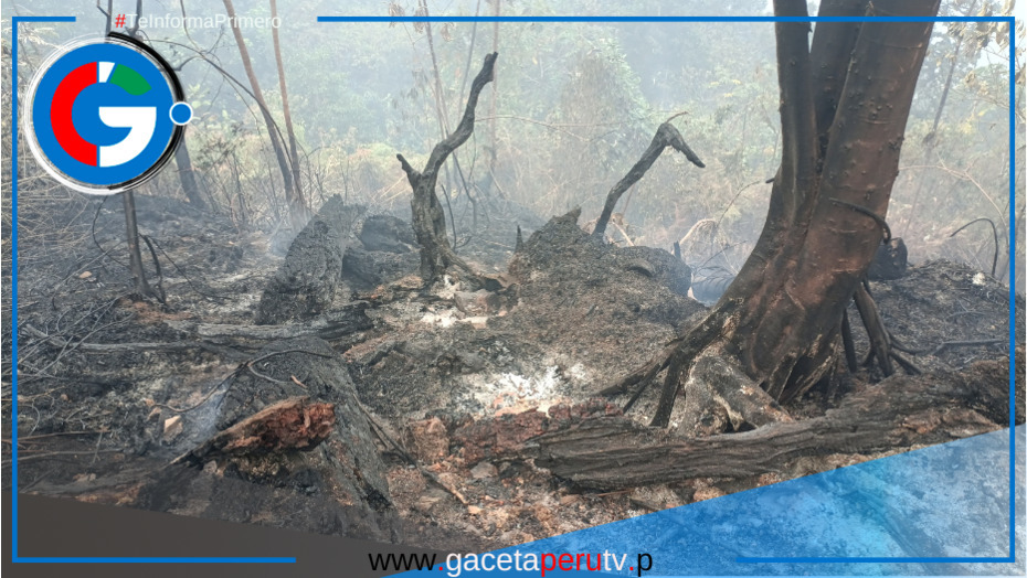 San José del Alto en alerta: siete incendios forestales llevan más de 20 días sin control