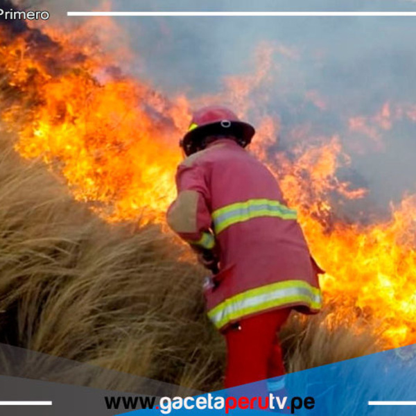 ¿Cómo se generan los incendios forestales y qué eventos naturales favorecen su propagación? 