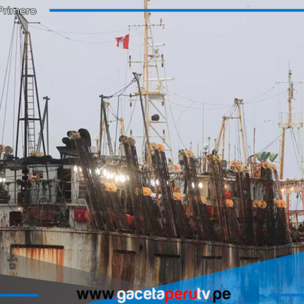 Embarcaciones chinas amenazan la pesca de pota en Perú