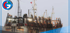 Embarcaciones chinas amenazan la pesca de pota en Perú