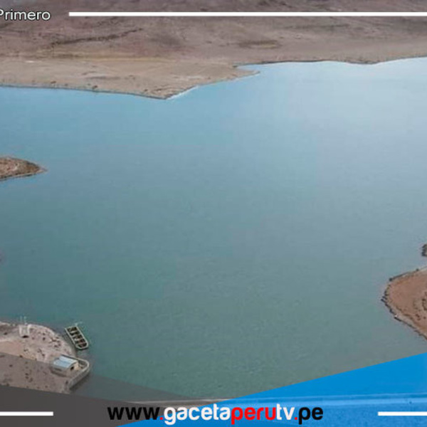 Tacna: Elaboran expediente de represa Jarumas II para reforestar la zona andina 