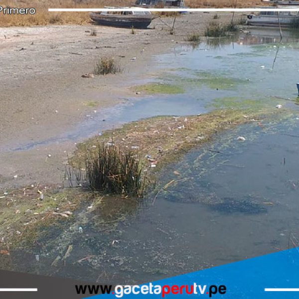 El nivel del agua del lago Titicaca descendió 55 cm en lo que va del año 