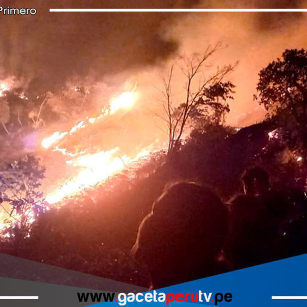 Cajamarca pide ser declarada en emergencia por daños por incendios forestales 