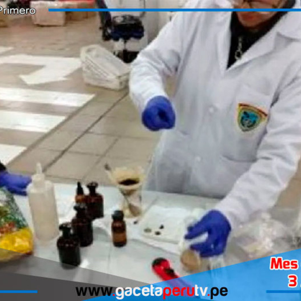 Droga oculta en alimentos con destino a Países Bajos