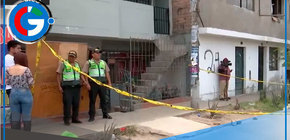 Mujer fallece y su hija herida por ataque de pitbull en San Juan de Miraflores