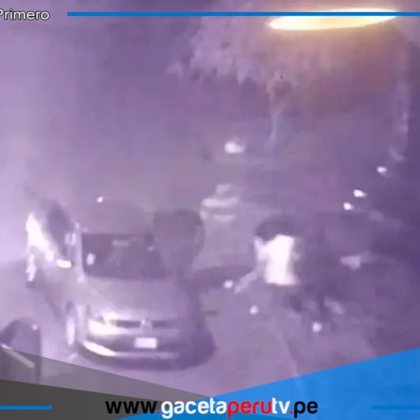 Delincuentes intentan secuestrar a hermanas veterinarias en Los Olivos