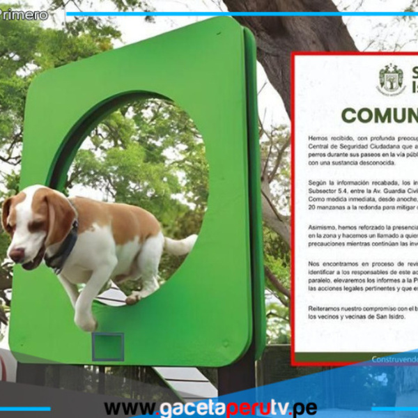 Fuente: Composición LR