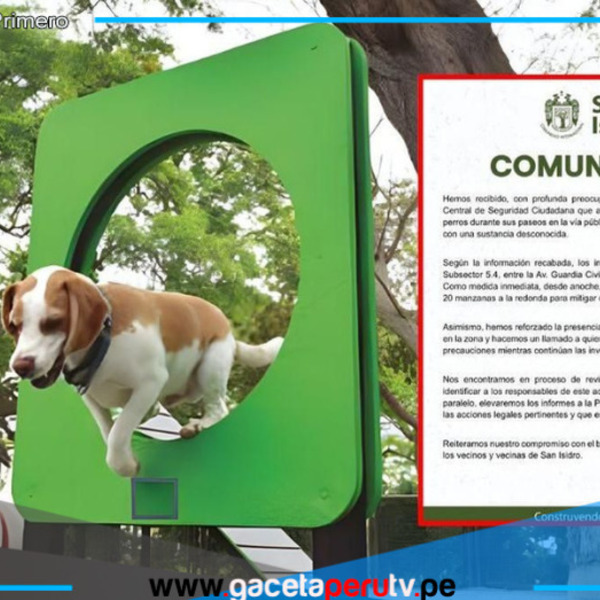 Vecinos de San Isidro denuncian envenenamiento de perros y piden justicia a las autoridades