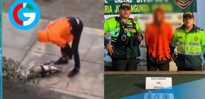 Detienen agresor en el Callao tras maltrato brutal a perro