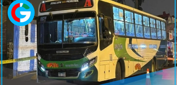 Bus de la empresa Vipusa fue atacado a balazos en plena ruta de San Juan