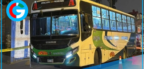 Bus de la empresa Vipusa fue atacado a balazos en plena ruta de San Juan