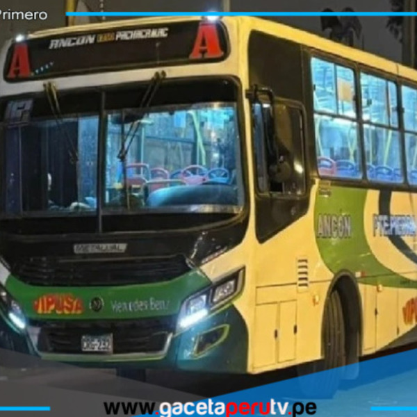 Bus de la empresa Vipusa fue atacado a balazos en plena ruta de San Juan