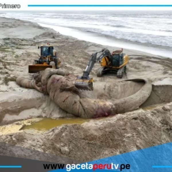 Fuente Fotográfica: Perú 21
