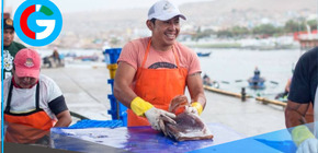Ministerio de la Producción lanza créditos de hasta S/ 117 700 para pescadores artesanales