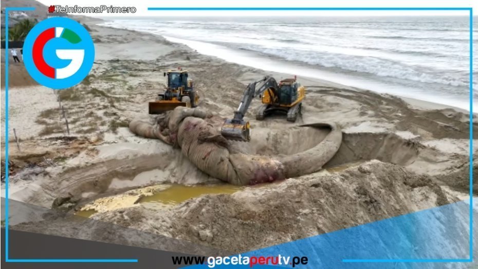 Fuente Fotográfica: Perú 21