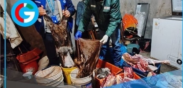 PNP desmantela red que vendía carne adulterada en Trujillo