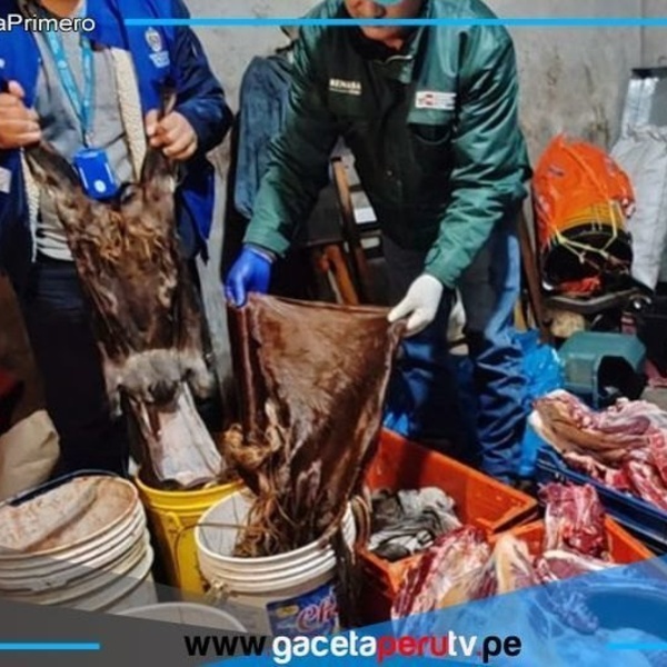 PNP desmantela red que vendía carne adulterada en Trujillo