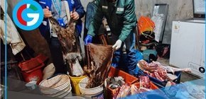 PNP desmantela red que vendía carne adulterada en Trujillo