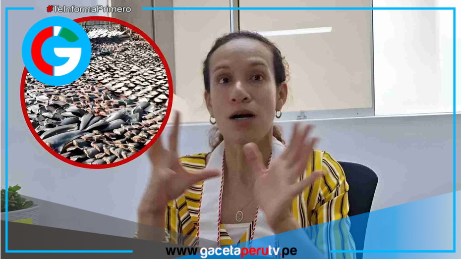 Fuente Fotográfica: Yo Soy Independiente