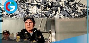 Callao incauta 12 toneladas de aletas de tiburón