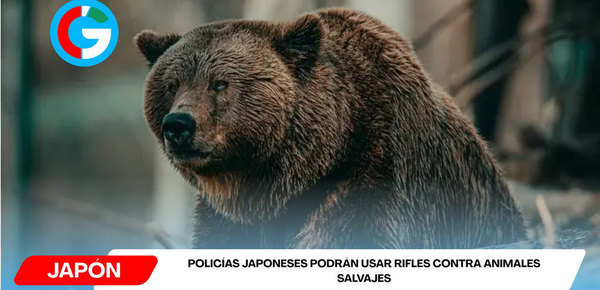 Policías japoneses podrán usar rifles contra animales salvajes
