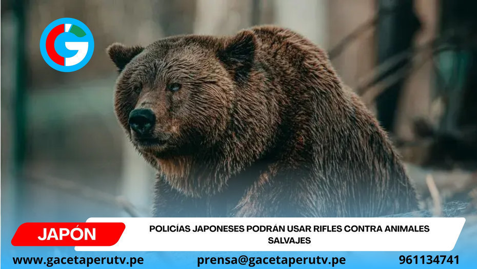 Policías japoneses podrán usar rifles contra animales salvajes